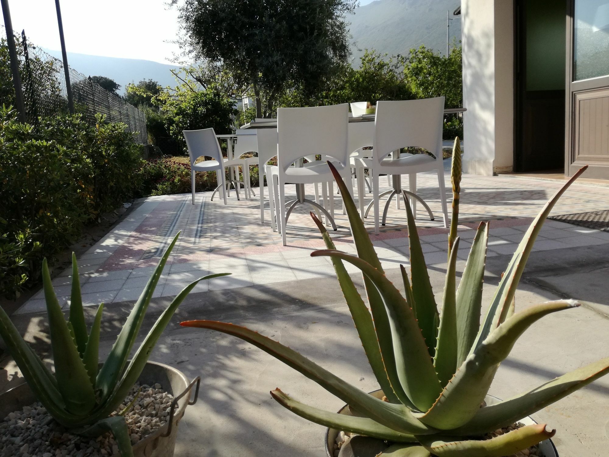 Miss Sicily B&B Terrasini Extérieur photo